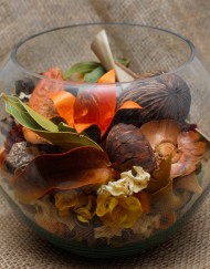 Vas potpourri