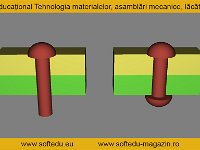 forma-nitului : Cap inițial nit